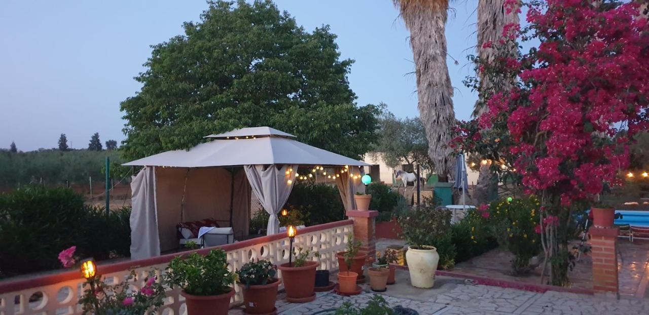 אלמונטה Finca-Vallestares מראה חיצוני תמונה
