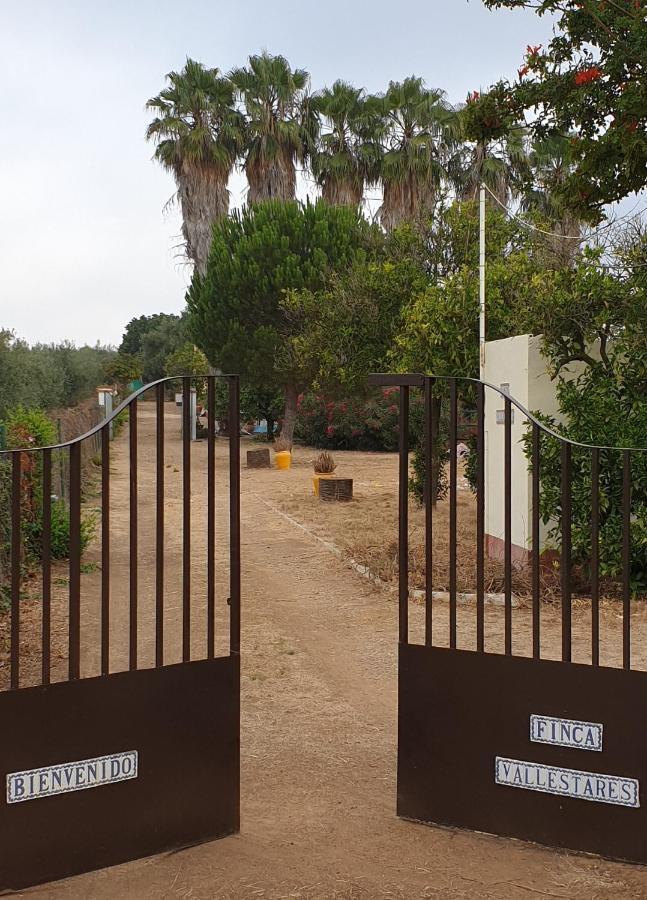 אלמונטה Finca-Vallestares מראה חיצוני תמונה